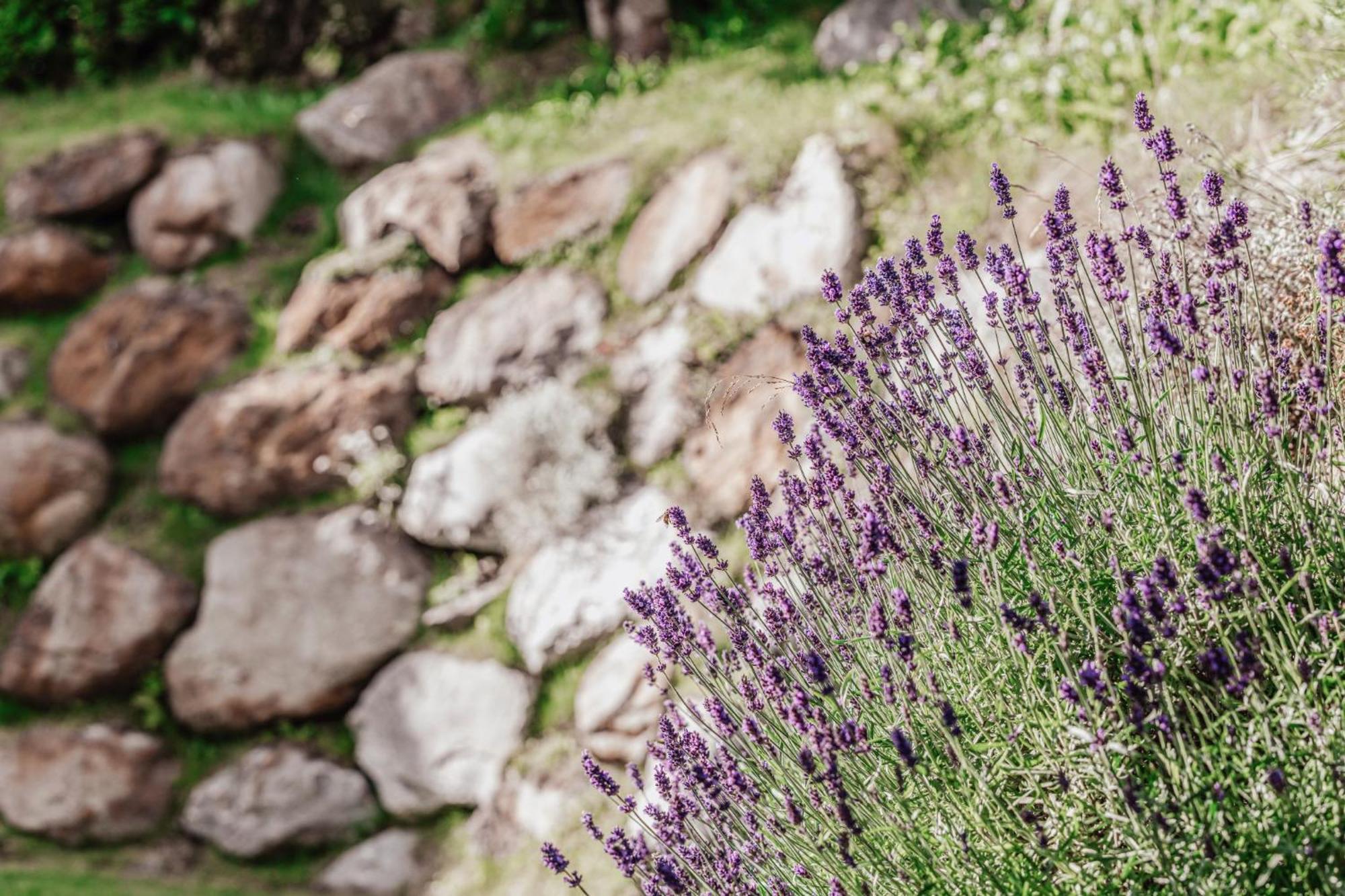 Auer-Fiegl Bed & Breakfast Sölden Dış mekan fotoğraf